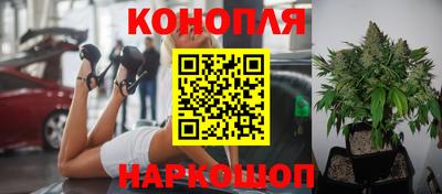 соль ск Канаш